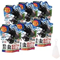 ケムンパス出品 立体標本5点 ケムンパス様専用出品 立体標本5点